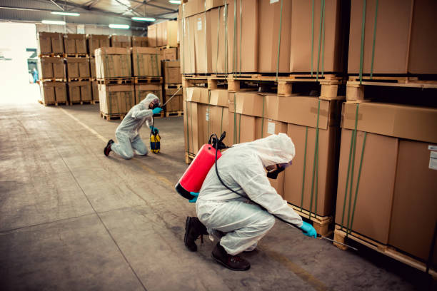 Best Termite Control Services  in Jerseyvle, IL