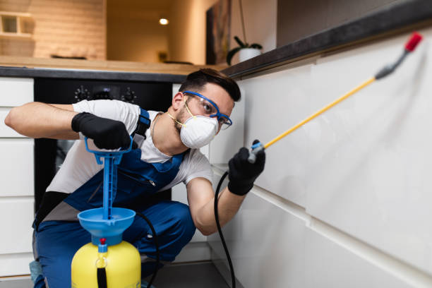 Best Best Pest Control Companies  in Jerseyvle, IL