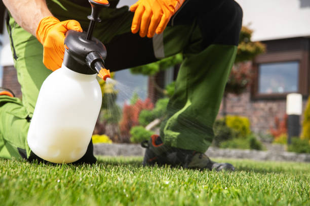Best Bed Bug Extermination  in Jerseyvle, IL