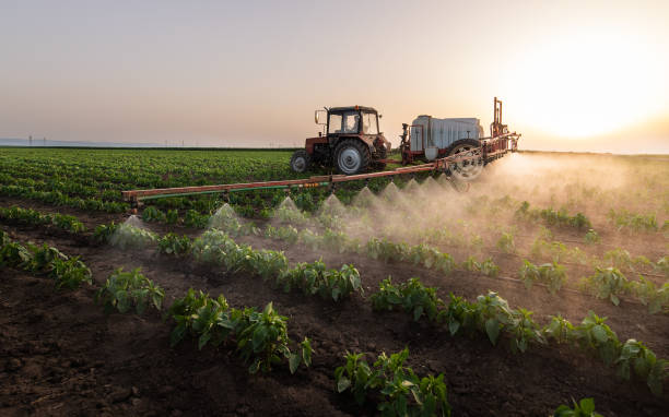 Pest Prevention Services in Jerseyville, IL