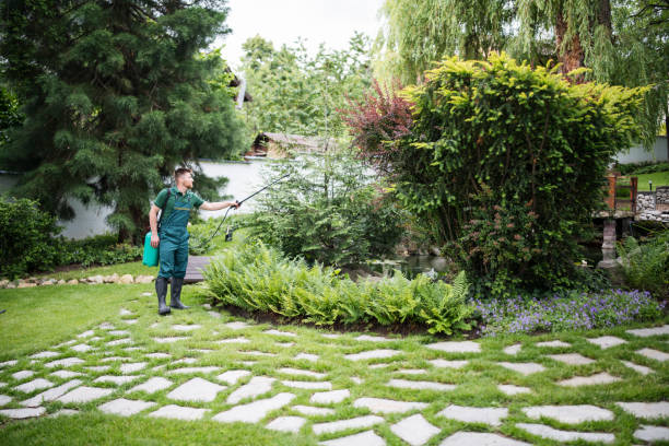 Trusted Jerseyville, IL Pest Control Experts