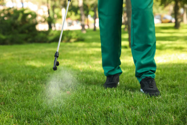 Pest Control for Restaurants in Jerseyville, IL