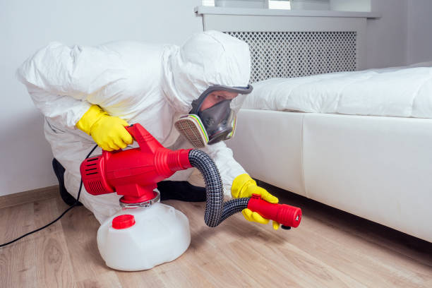 Professional Pest Control in Jerseyville, IL