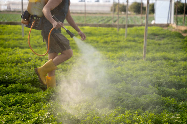 Best Mosquito Control Services  in Jerseyvle, IL