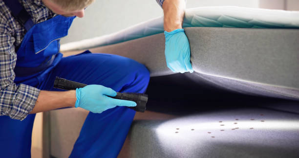 Pest Control Cost in Jerseyville, IL